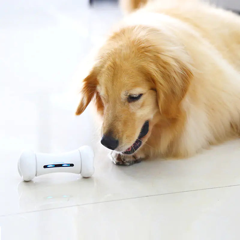 Sanoho™ Electric Smart – Auto-Rolling Pet Toy
