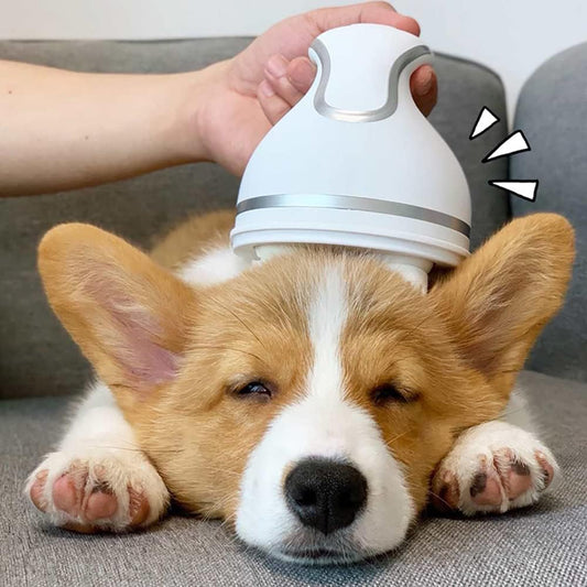 Sanoho™ Electric Head – Soothing Pet Massager
