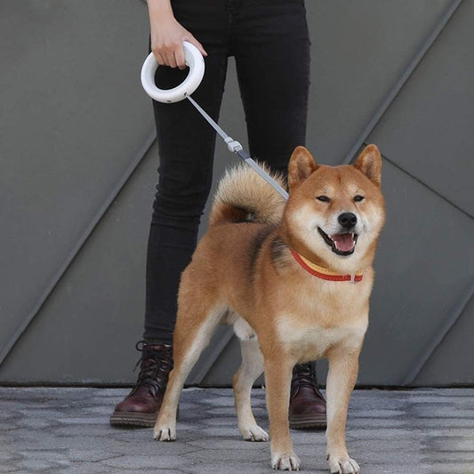 Sanoho™ Dog Walking – Retractable Leash & Collar