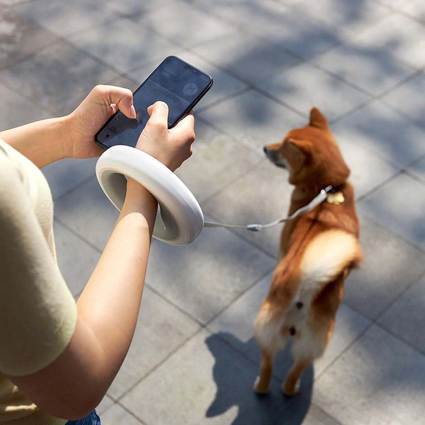 Sanoho™ Dog Walking – Retractable Leash & Collar