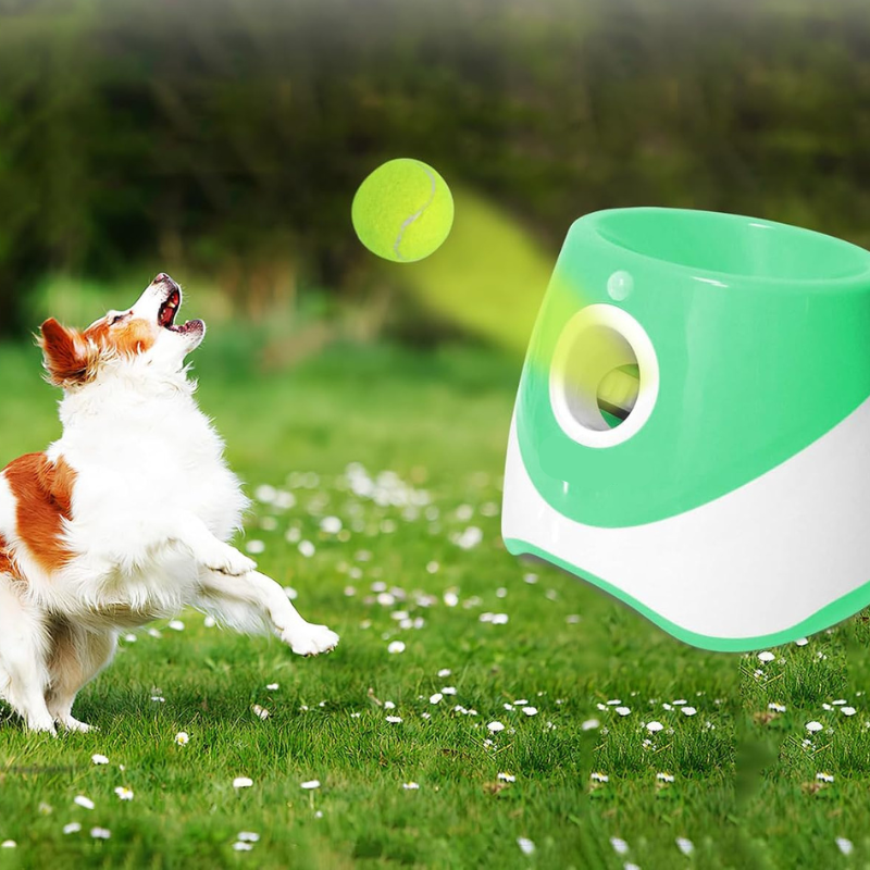 Sanoho™ Ball Machine– Automatic Dog Launcher