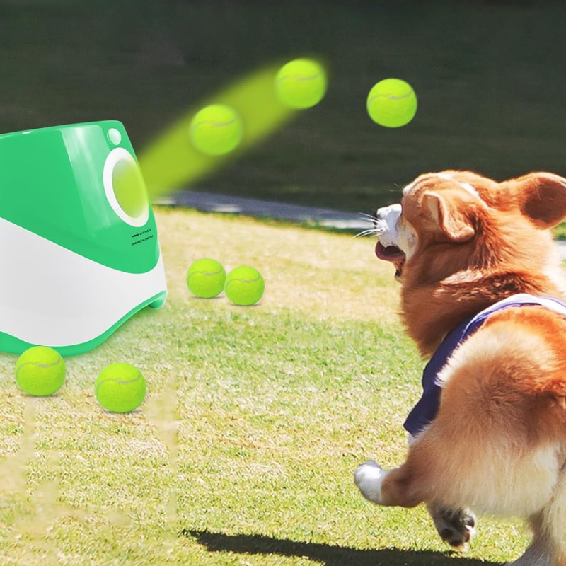 Sanoho™ Ball Machine– Automatic Dog Launcher