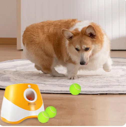 Sanoho™ Ball Machine– Automatic Dog Launcher