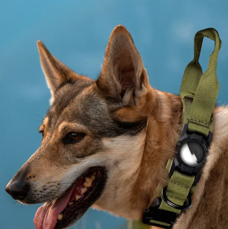 Sanoho™ Pet GPS – Pet AirTag Case
