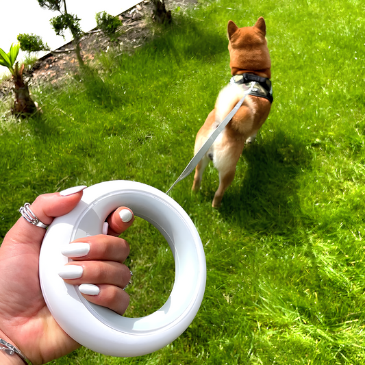 Sanoho™ Dog Walking – Retractable Leash & Collar
