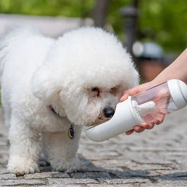 Sanoho™ Travel Pet – Portable Water Bottle
